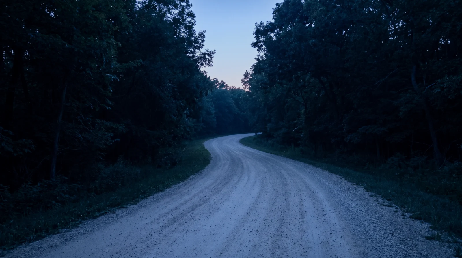 A quiet gravel road curving into the woods at dusk.